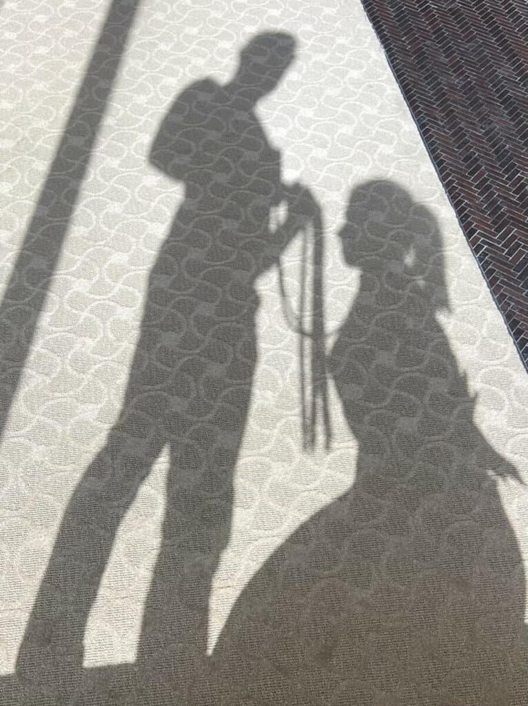 Shadow picture of Sir M and slave Lisa
